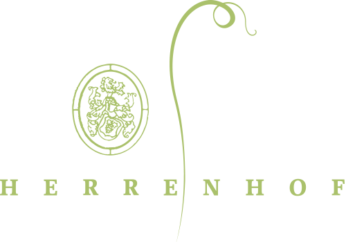 Logo: Canvas